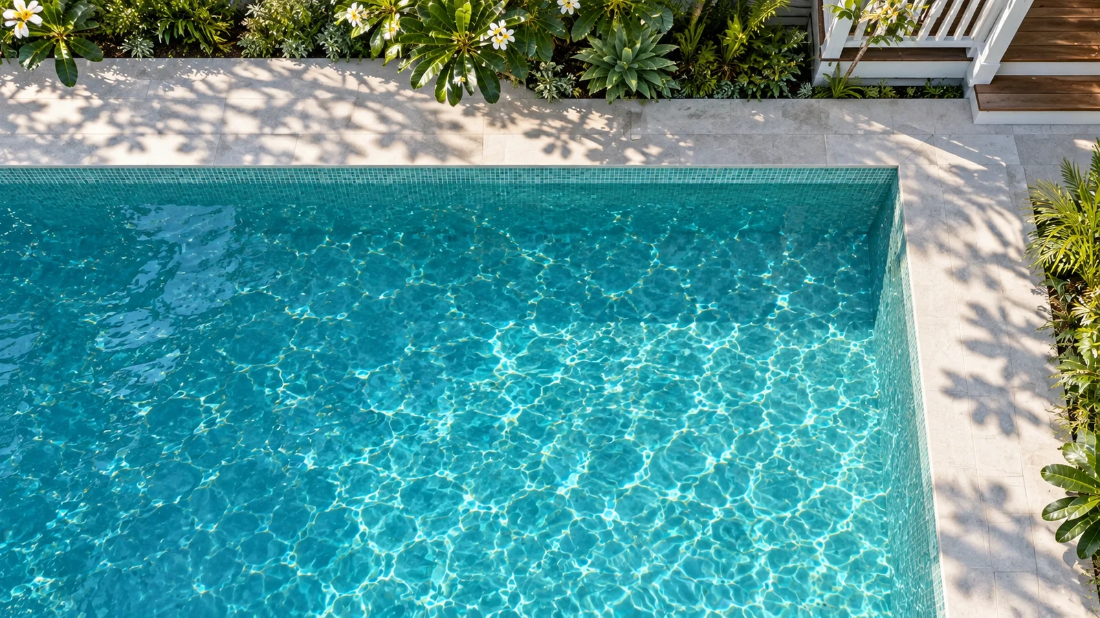 Overhead view of the rectangular courtyard pool framed by pale stone and soft garden shadows